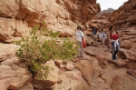 Sylwester_w_Dahab_106_big