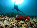 Dugi_Otok_Kornati_024