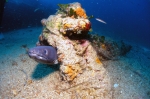 Wyspa_Vis_62