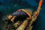 Wyspa_Vis_68
