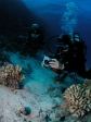 nurkowanie_hurghada_102