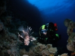 nurkowanie_hurghada_143