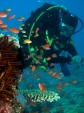 DSCN9652_big
