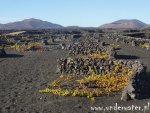 Lanzarote - nurkowanie na Wyspach Kanaryjskich