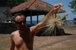 Nurkowanie_na_Bali_49