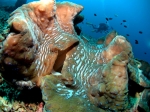 dscn0358_big