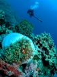 dscn0397_big