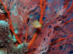 dscn0536_big