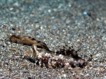 dscn0649_big