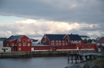 nurkowanie_na_lofotach_48