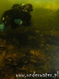 nurkowanie_serwy_62