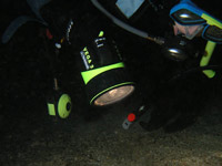 Kurs nurkowania w nocy PADI Night Diver