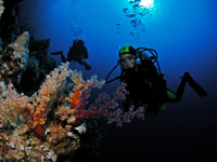 Kurs nurkowanie PADI Discover Scuba Diving