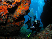 PADI Discover Scuba Diving