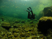 Kurs nurkowania PADI Drift Diver