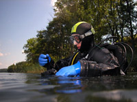 Kurs nurkowania PADI Dry Suit