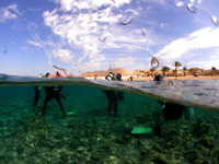 Jordania - nurkowanie w Zatoce Aqaba