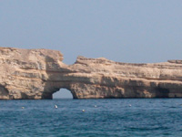 Nurkowanie w Omanie